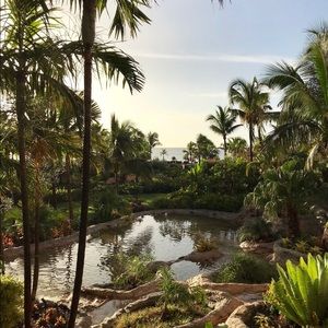 Meet your Posher, Windy